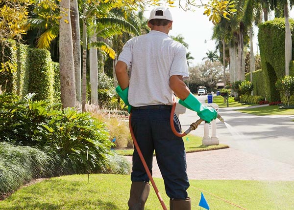 About Butterfield MO Pest Control